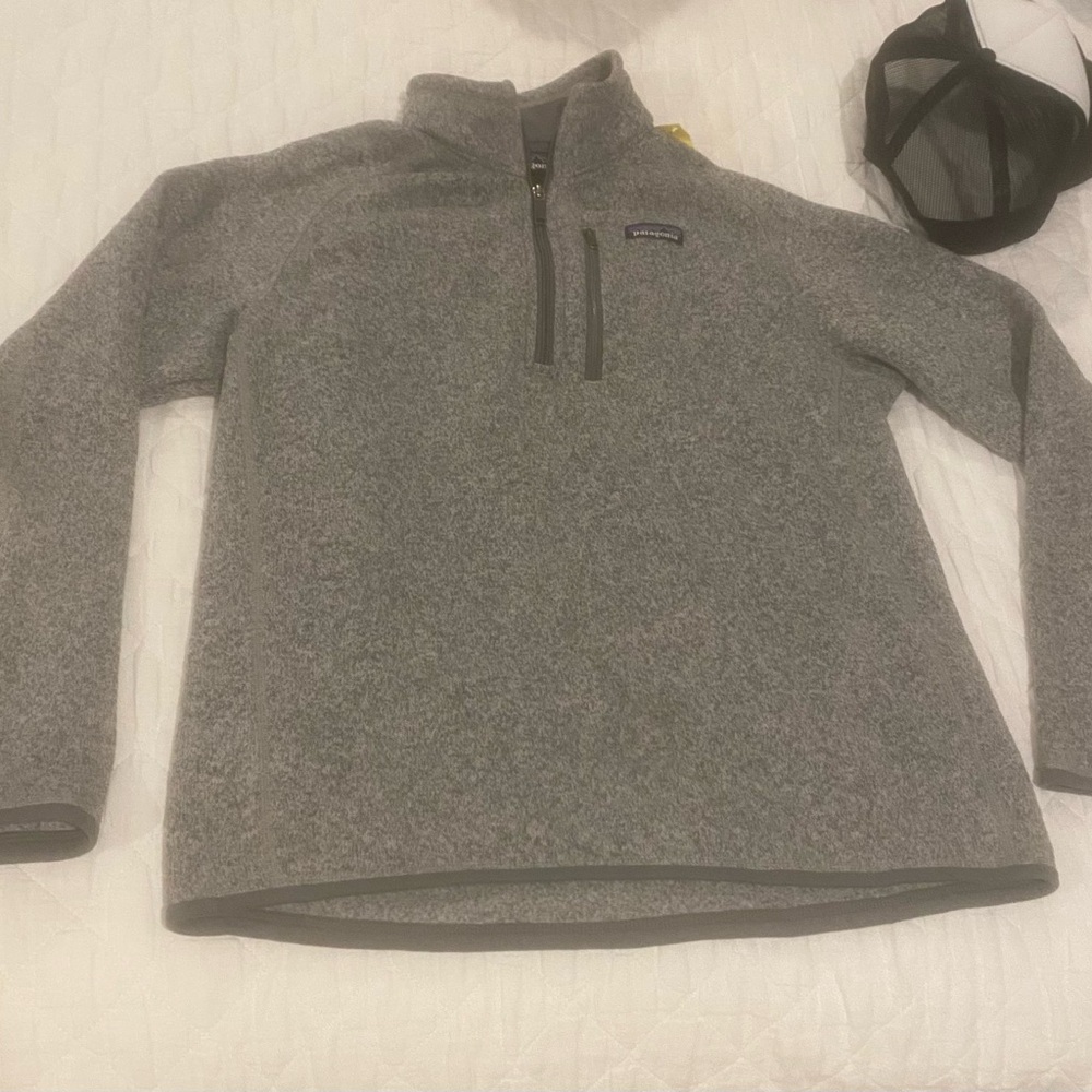 Patagonia Men's better sweater 1/4 Zip Sweater in Heather Gray